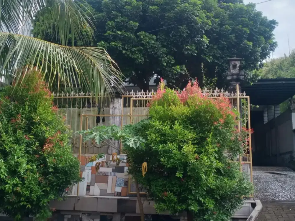 FOR SALE RUMAH BAGUS SANGAT LUAS DAN HARGA BEST  SHM DI JLN UTAMA JIMBARAN