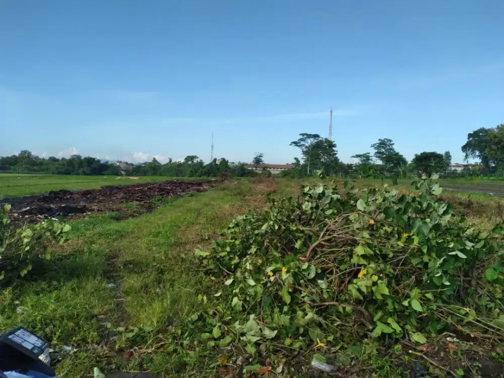 Dijual sawah lokasi klaten