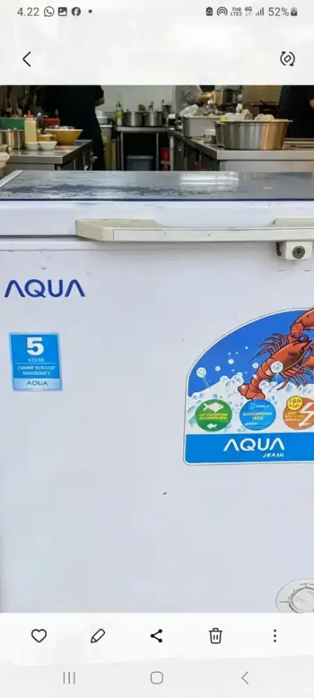 freezee box 200L AQUA