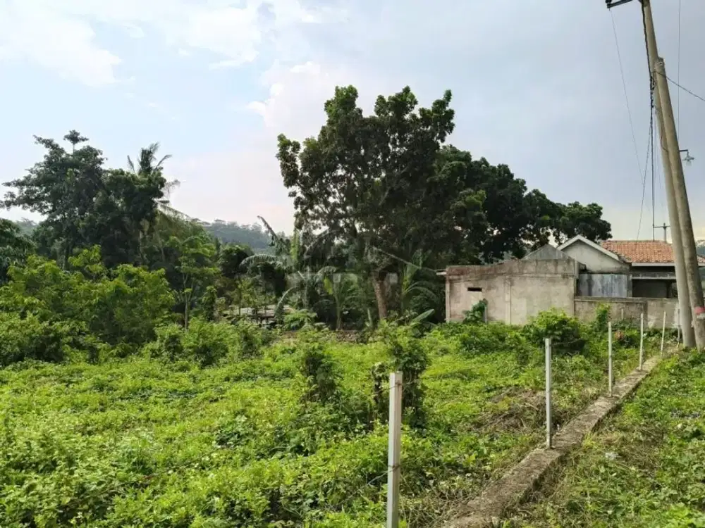 Dijual Kavling Di Desa Klapanunggal Bogor