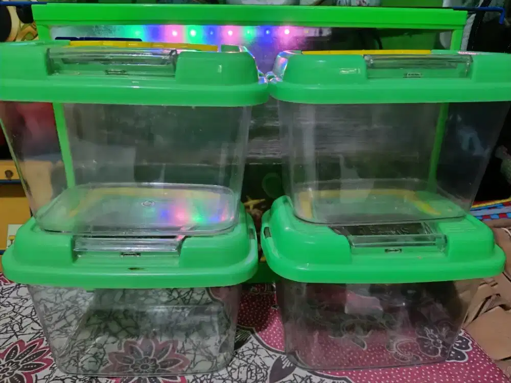 Aquarium Ikan Kandang Hamster