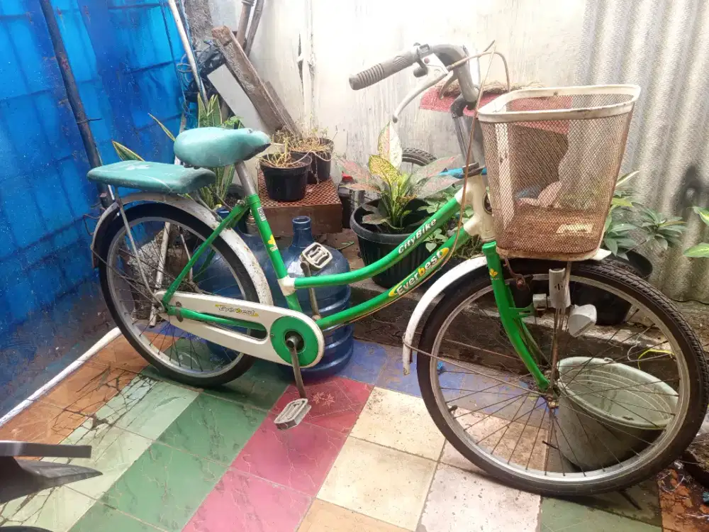 Jual sepeda keranjang ban 24