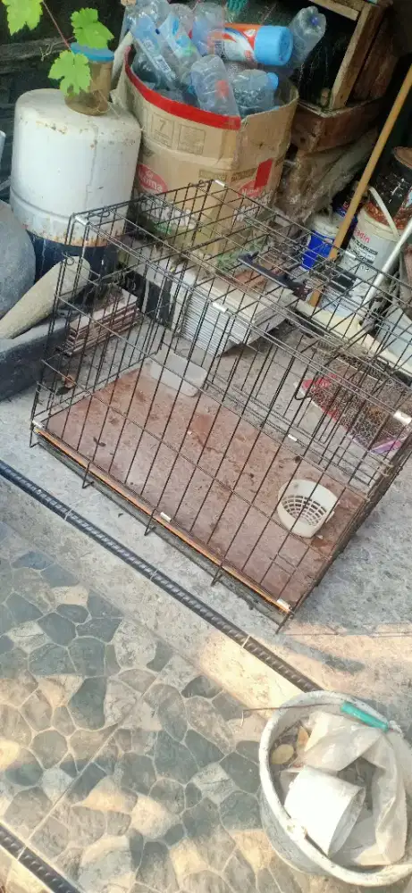 Di jual kandang kucing UK 70 x 40 cm