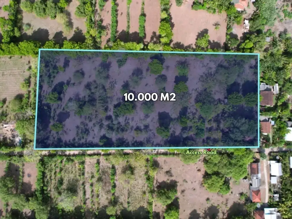 1 Ha Prime Residential Land for Sale near Pemuteran Beach – Buleleng