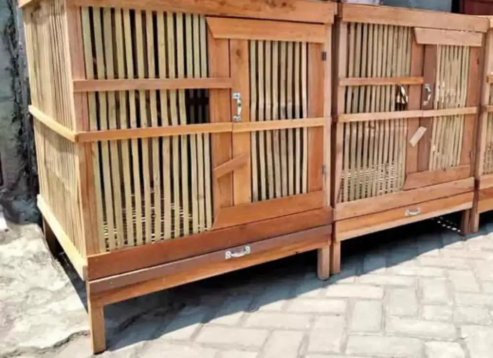 Kandang ayam bermacam ukuran baru