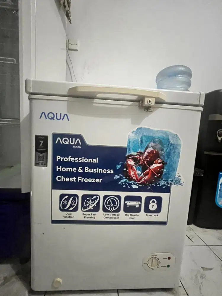 Freezer aqua 100L