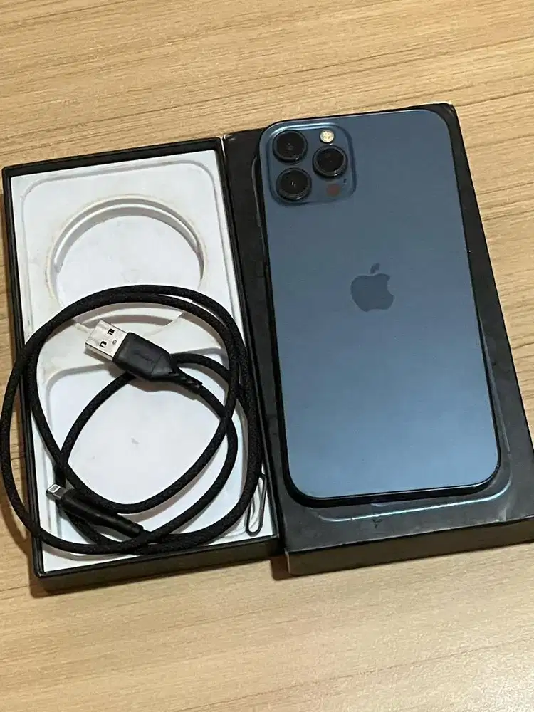 WHITELIST REGISTERED IPHONE 12 PRO MAX 128GB