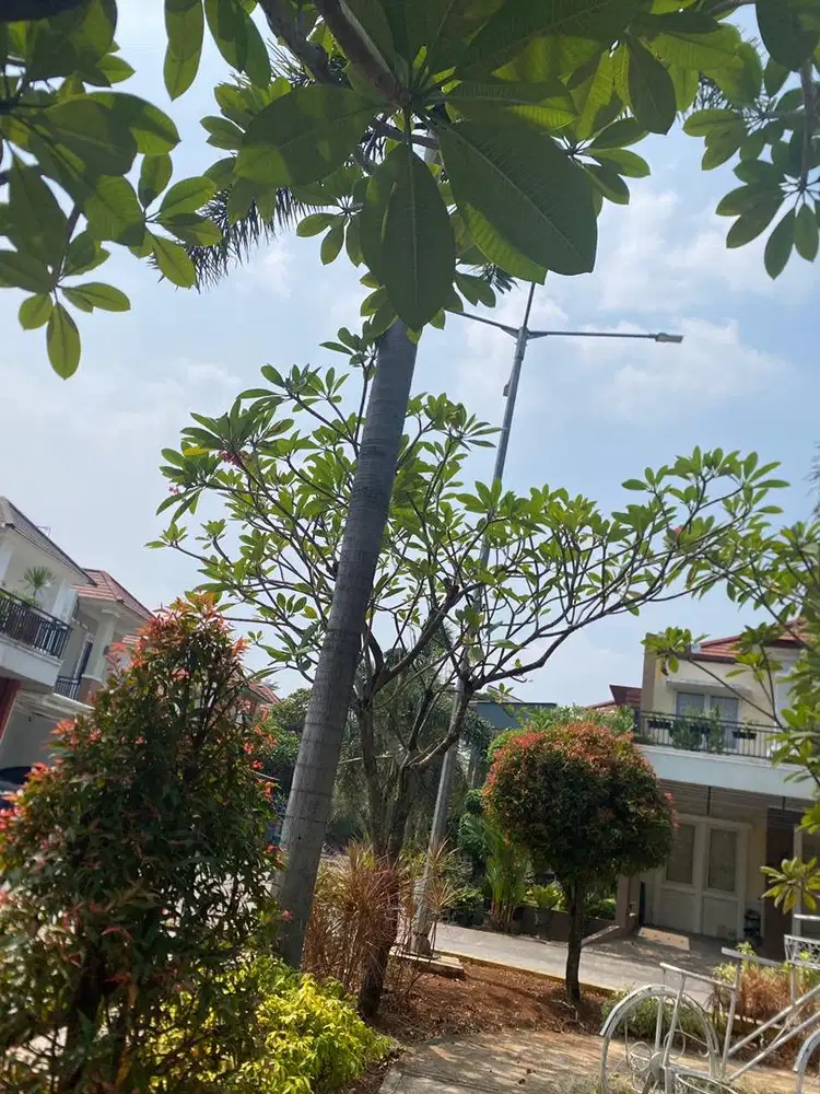 Art menginap di pondok melati, bekasi