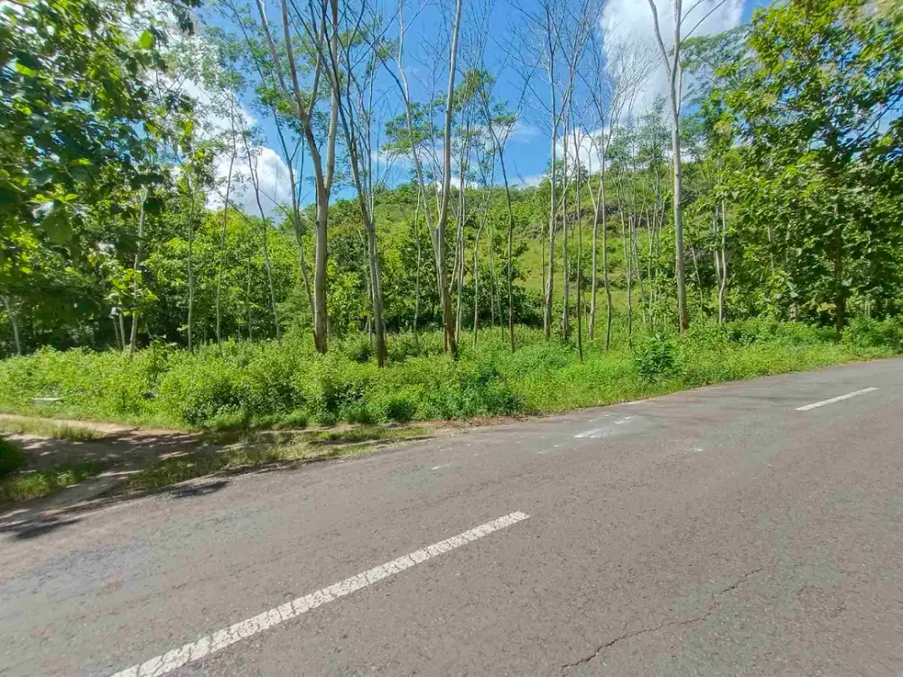 Tanah murah mangku jalan raya arah pantai Gunungkidul lauas 2 Hektare shm