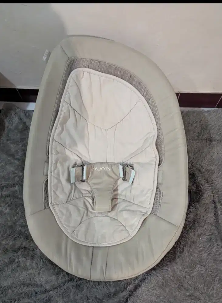 Nuna leaf bouncer