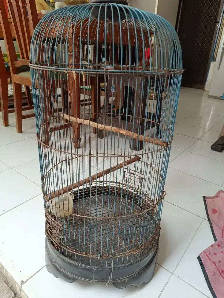 Sangkar Bulat Love Birds