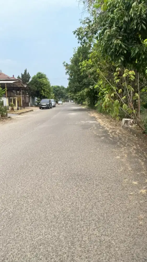 Dicari Art hanya seminggu (pp 7 pagi-5 sore)