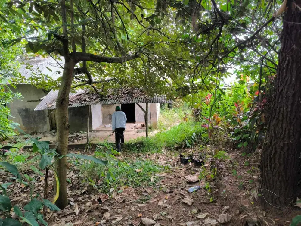 Dijual tanah kebun di subang jawa barat
