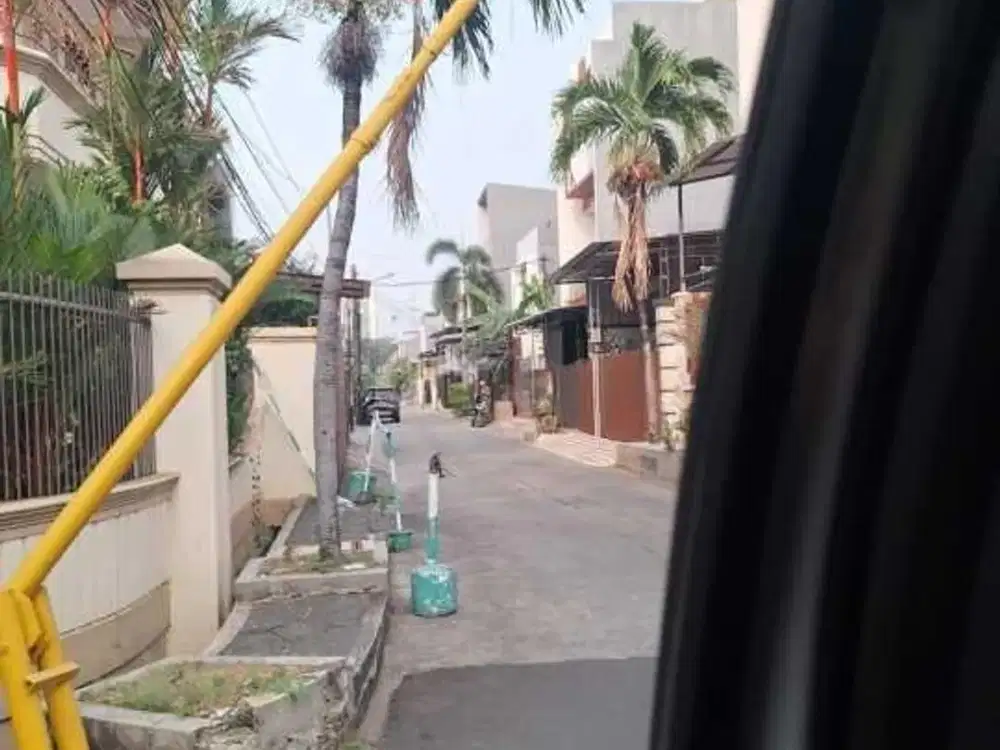 Rumah Kelapa Hybrida Disewakan