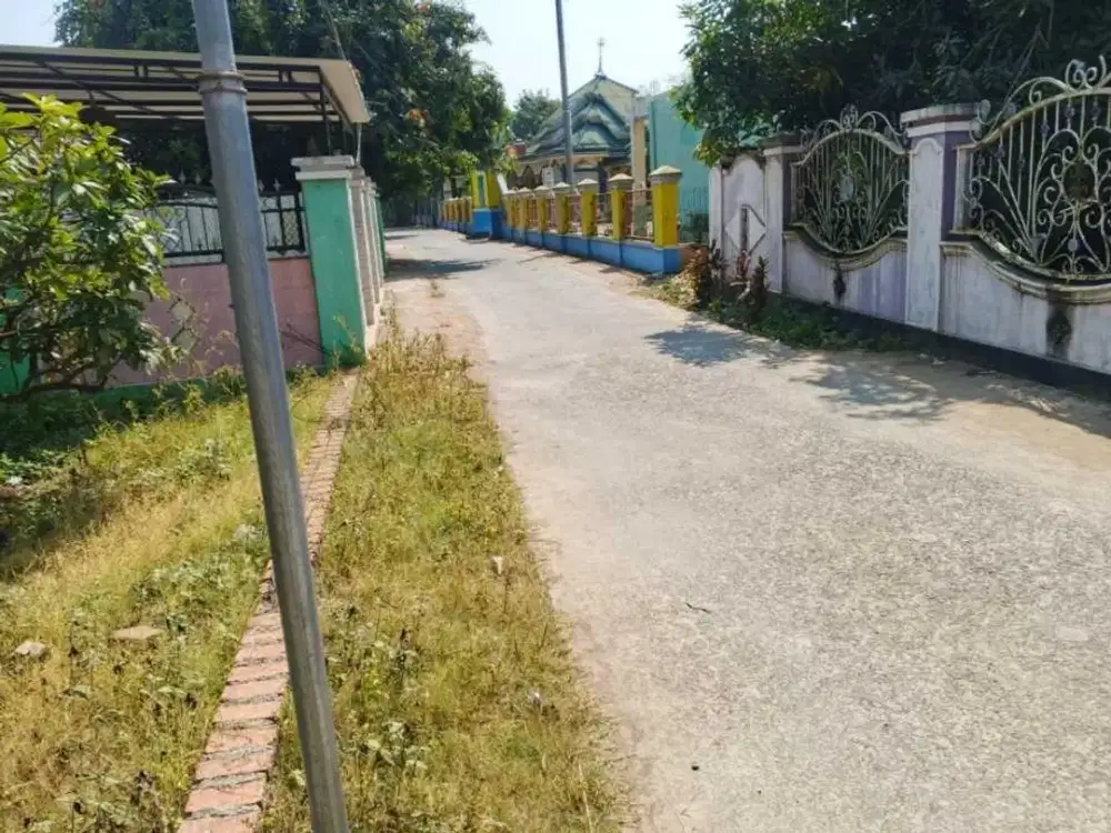 Beli Tanah Bonus Rumah