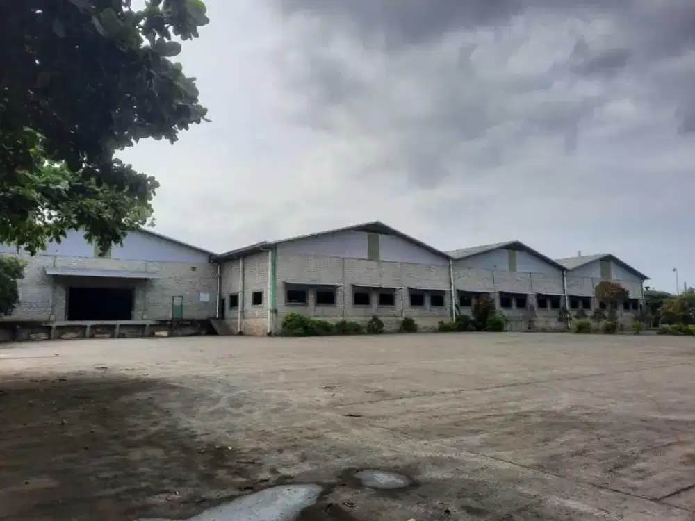 Pabrik Kayu di Kecamatan Grinsing, Batang, Jawa Tengah, Batang