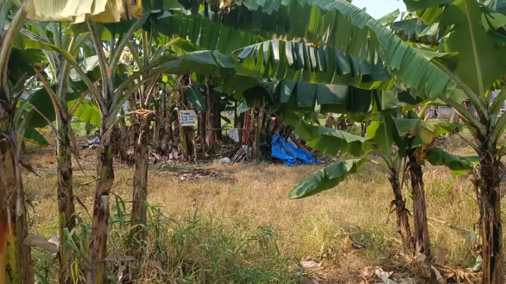 jual tanah lokasi malang kota