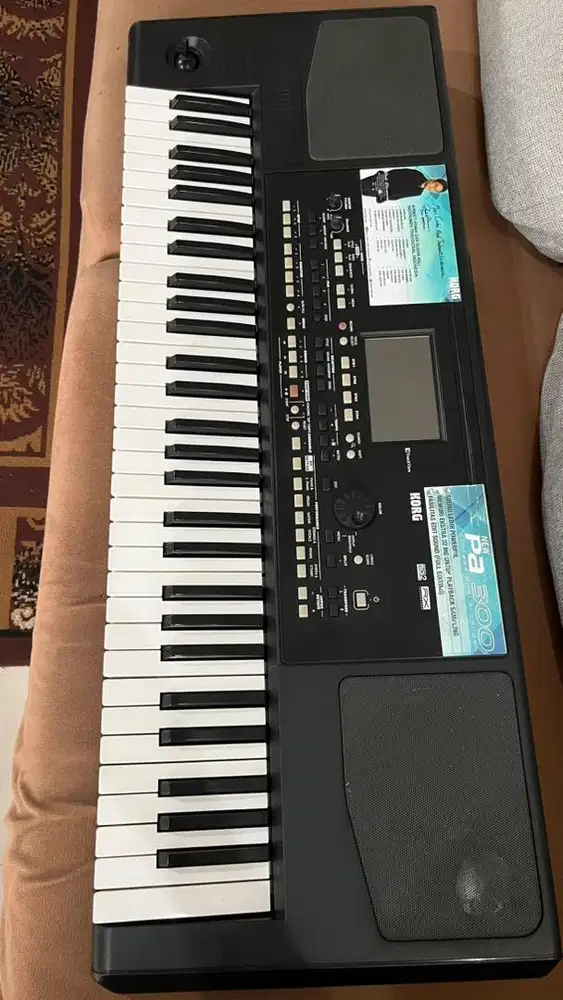 Korg Pa 300 V2 bekas