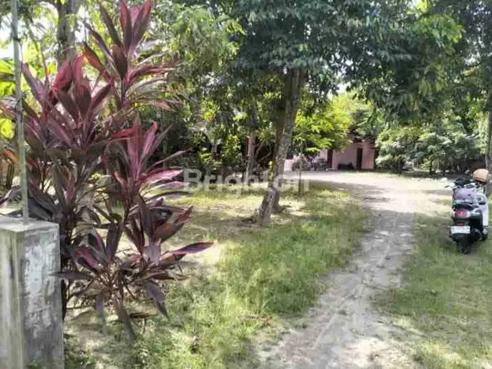 Tanah pekarang prospektif