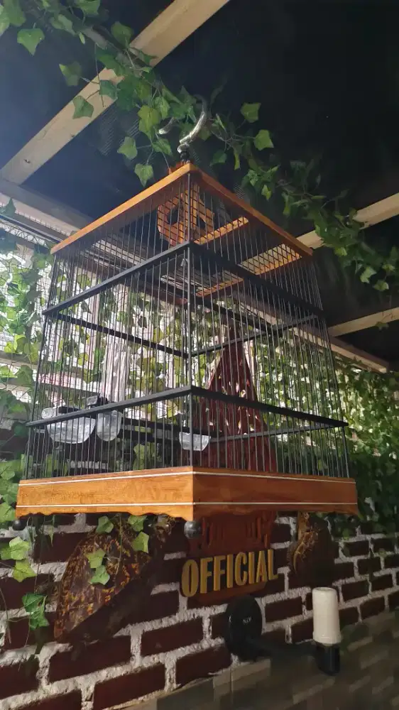 Sangkar cungko ceper