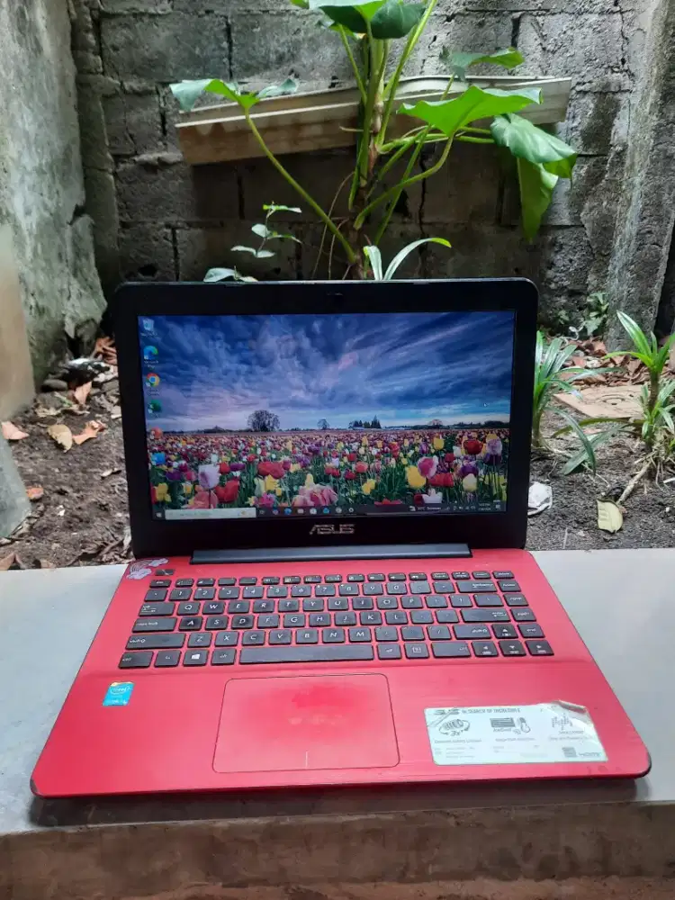 Laptop asus murah