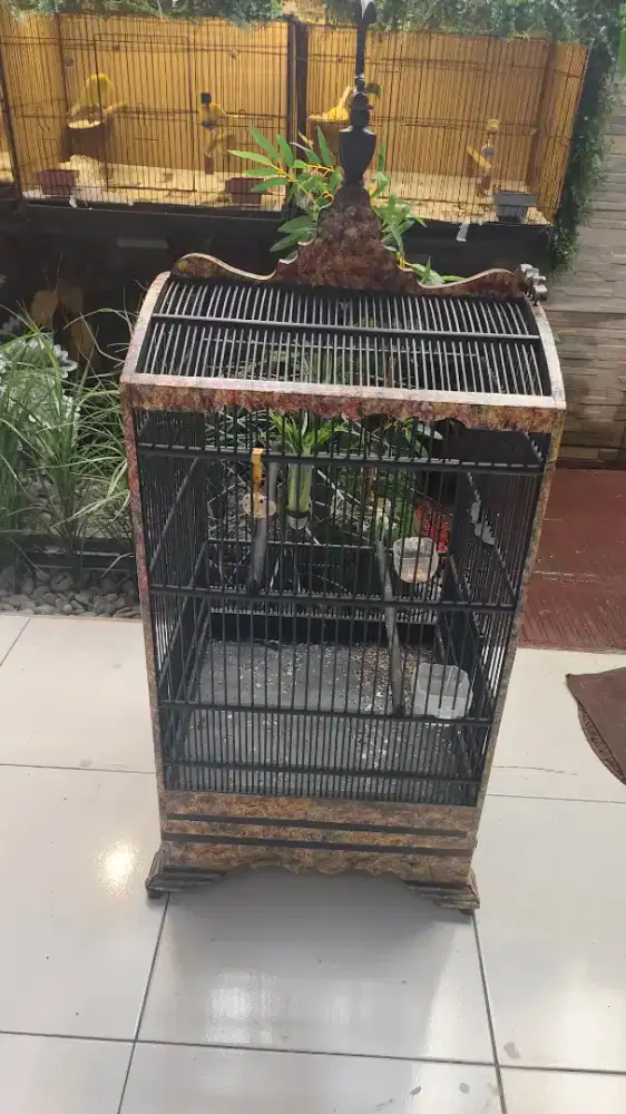 Sangkar kosan cat airbrus