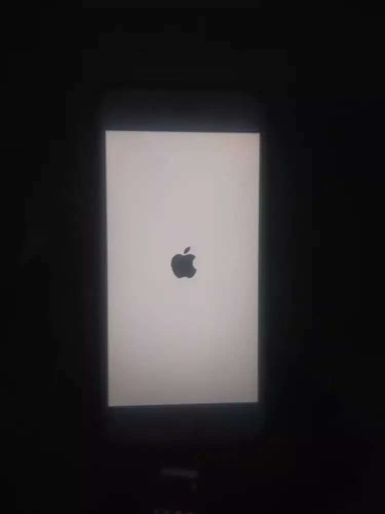 Apple 6 128 gb hp+casan