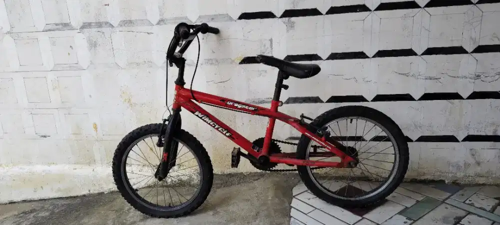 Di jual sepeda anak -anak