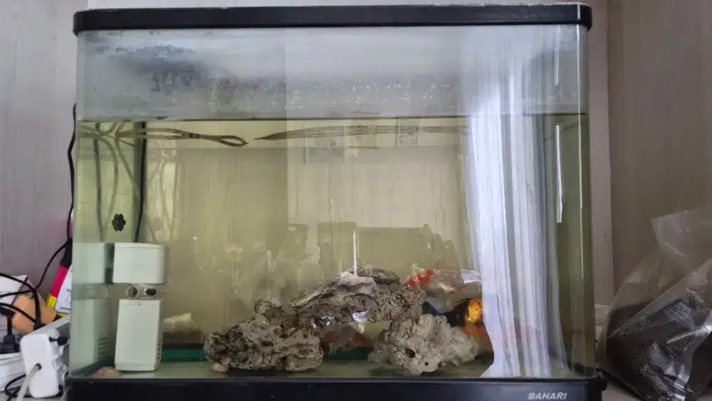 Aquarium BAHARI
