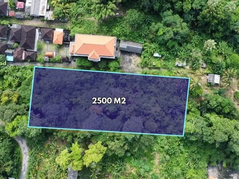 Prime plot of 2500 sqm for sale in Kelating, Tabanan