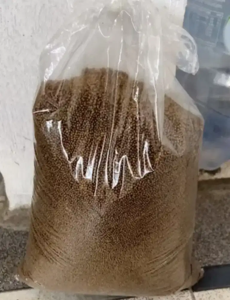 Pellet ikan pf1000

Isi 1kg 26rb
Isi 250gr 6500

protein tinggi