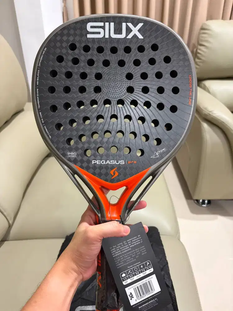 Siux Pegasus Pro 2026