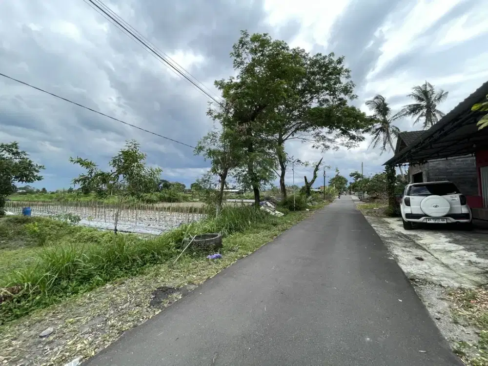 Tanah sleman shmp tepi jalan selomartani view sawah