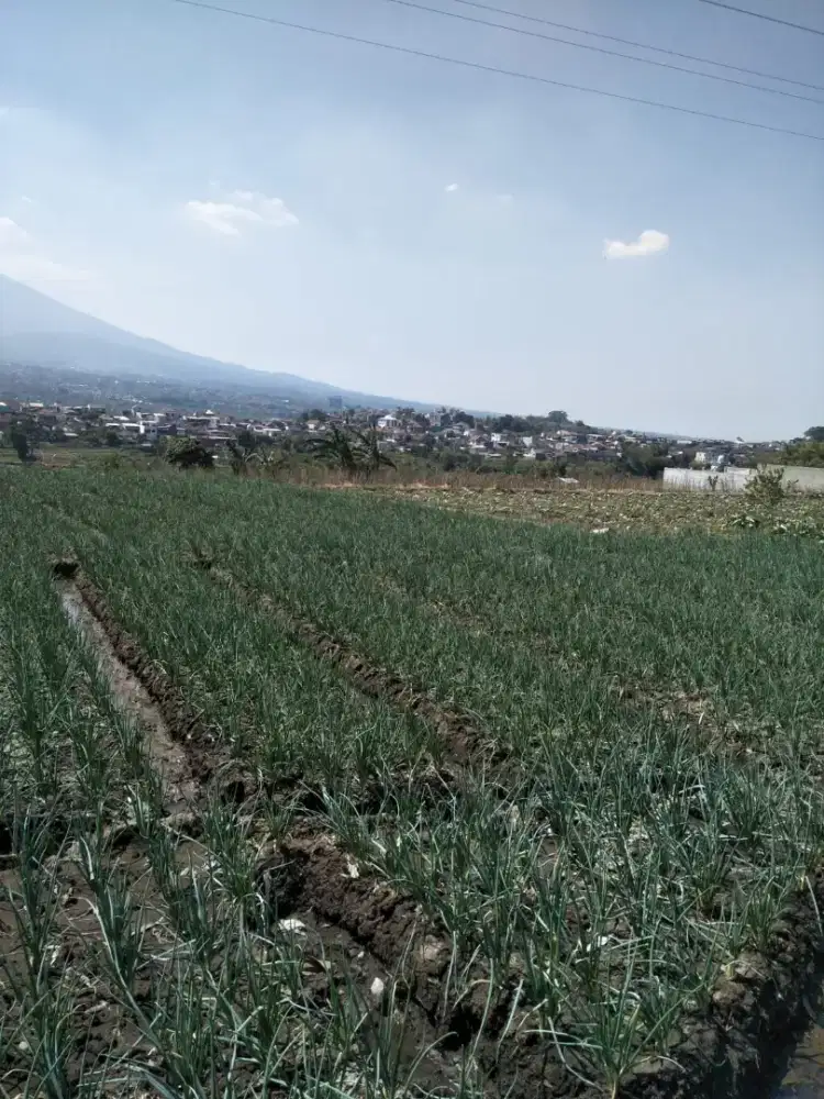 Di jual tanah strategis