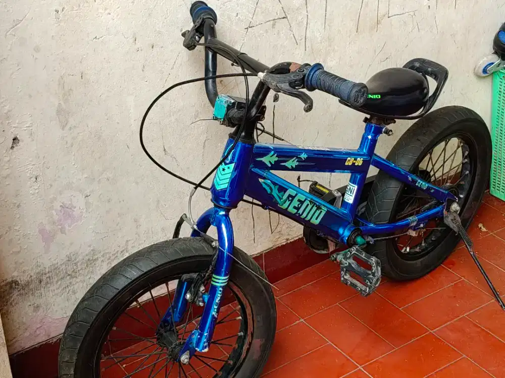 Sepeda anak laki laki