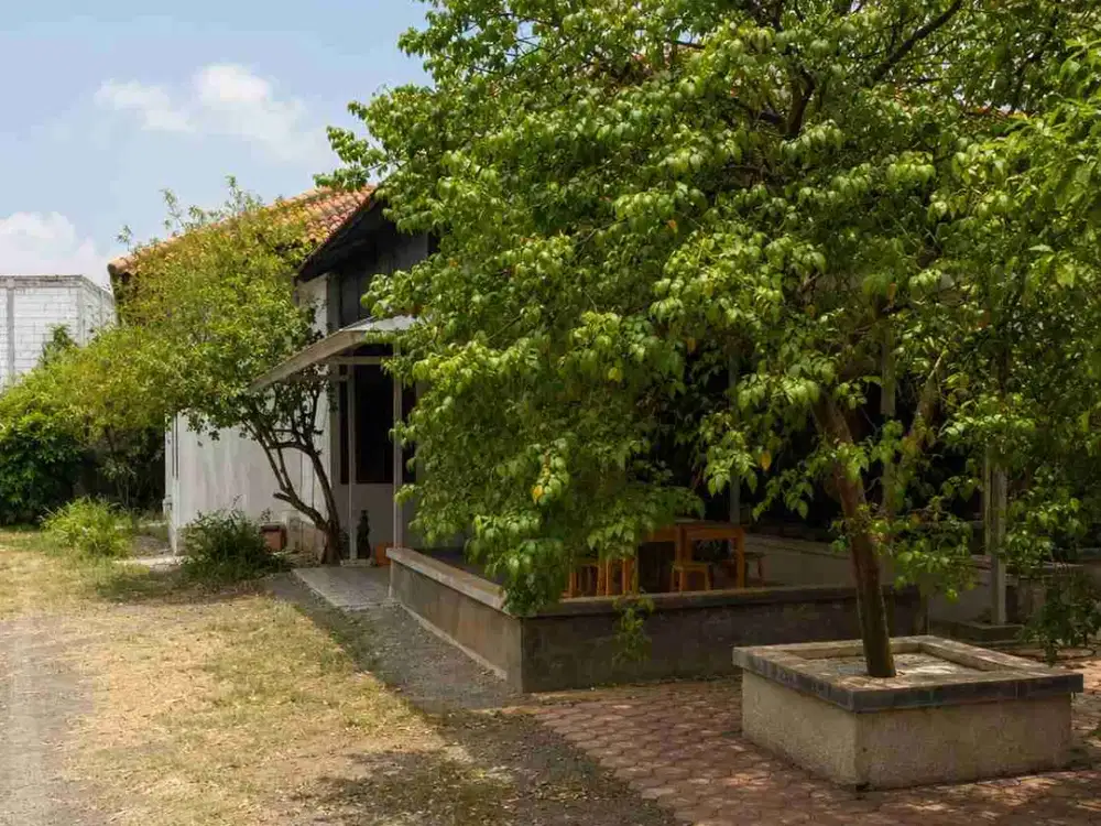 Rumah dgn Tanah Luas cakep buat investasi jangka panjang