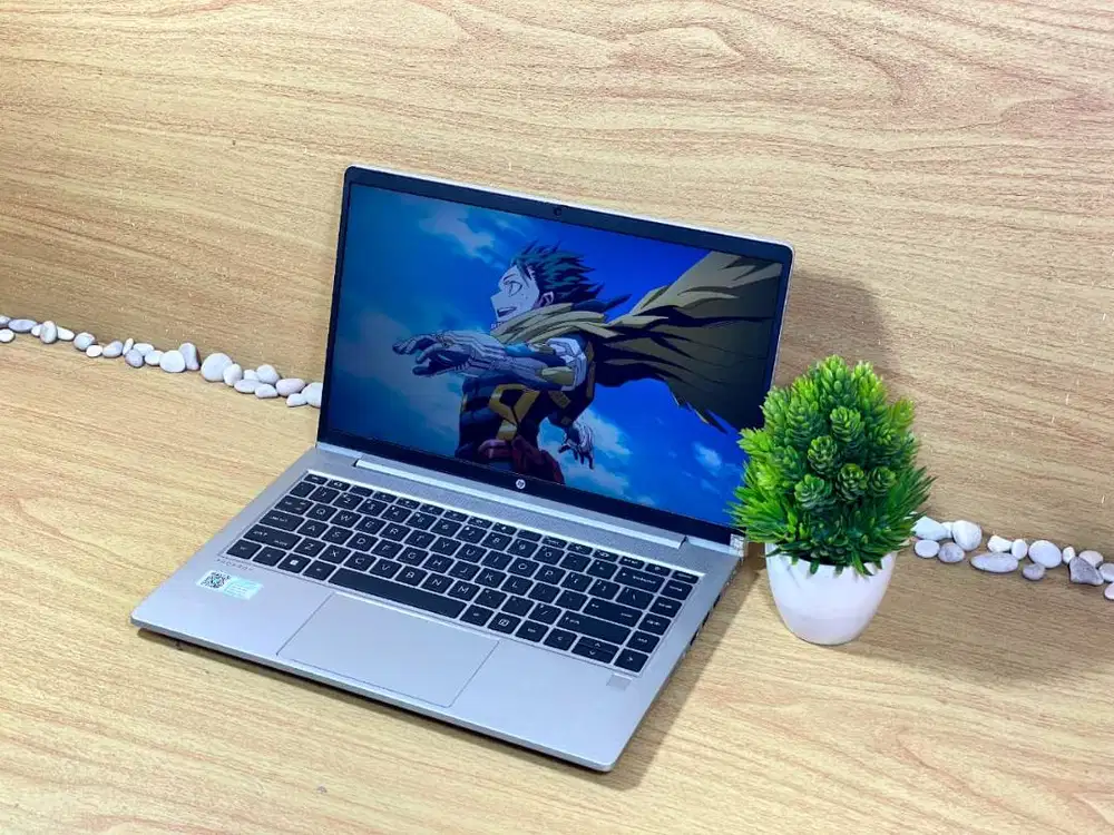 Laptop HP ProBook 445 G8 AMD R5 Pro SSD 256 GB