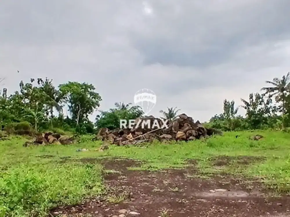 DIJUAL TANAH / LAHAN KERING SIAP BANGUN – ROGOJAMPI, BANYUWANGI