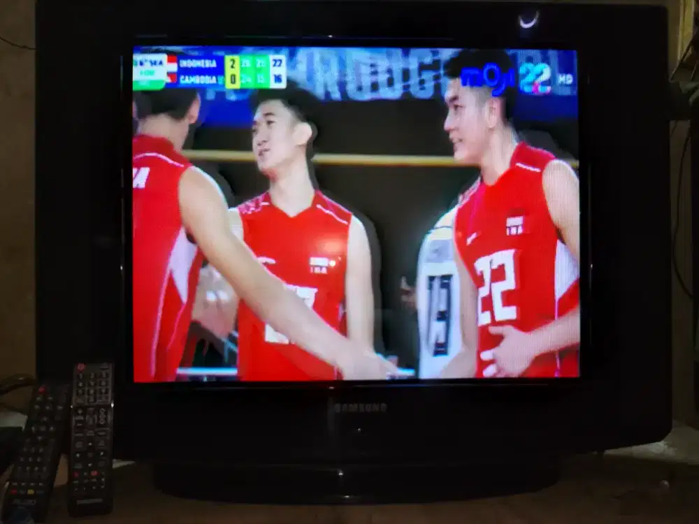 TV 29 SAMSUNG + STB