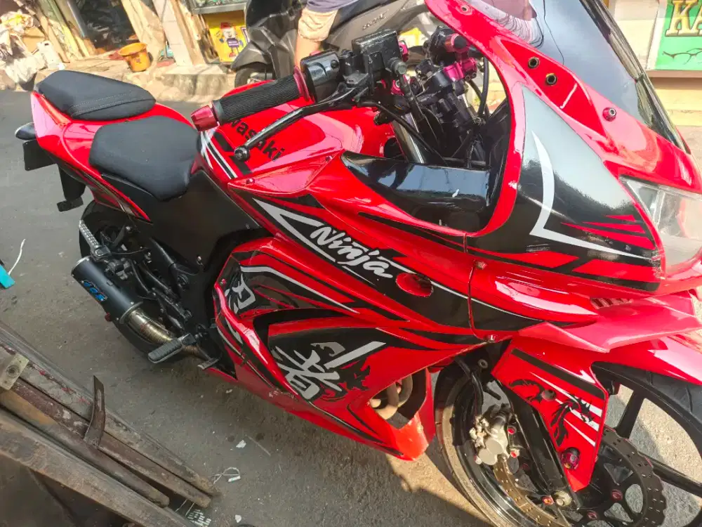 Ninja Karbu 250