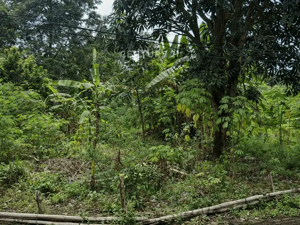 Tanah 1986m2 Siap Bangun Dekat Hotel Hyatt Palagan