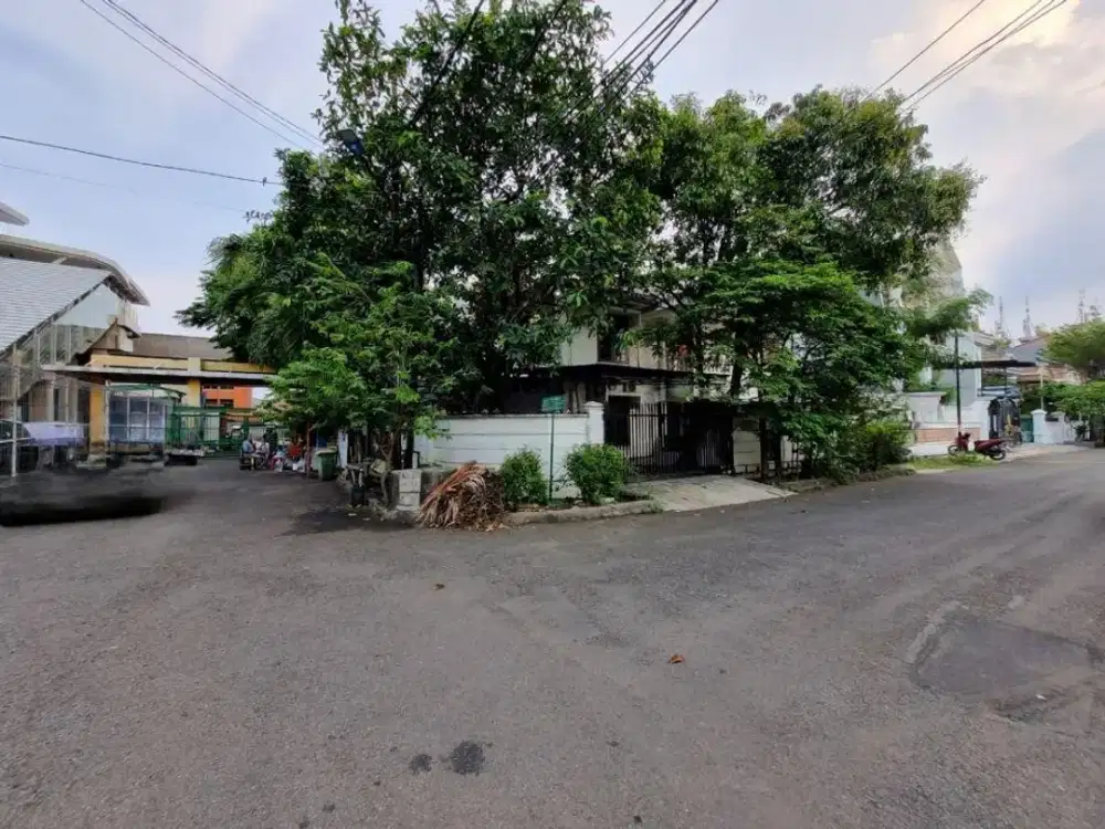 Janur hijau huk 400m, jln besar, murah ,shm, strategis