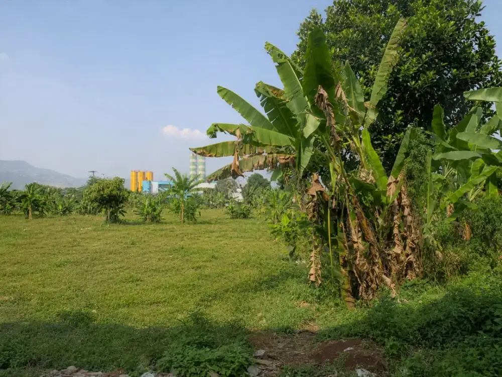 Dijual Tanah Strategis di Jalan Raya Babakan Madang Sentul City