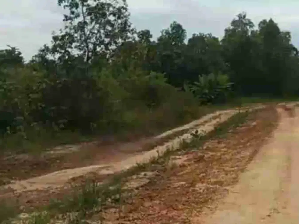 d jual Tanah Timah d Bangka Tengah