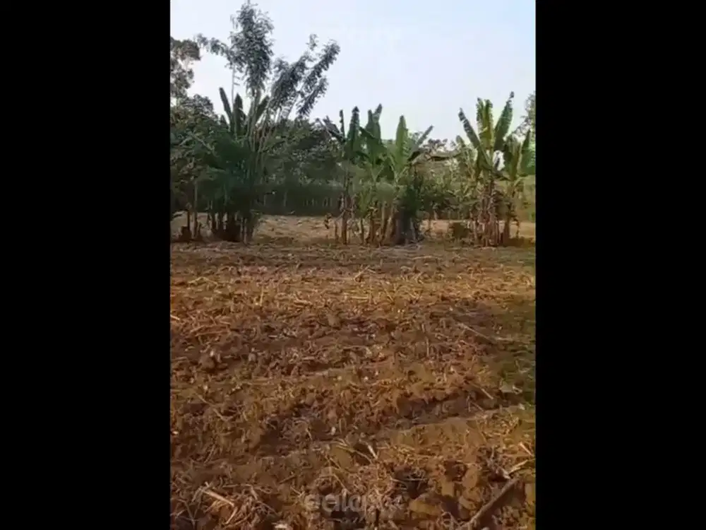 Tanah Strategis 3 Hektare Dengkol Singosari Malang GMK04152