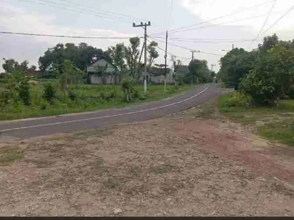 di jual 4 tanah kavling murah d Tuban jatim
