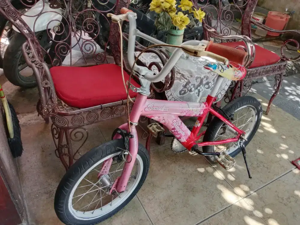 Sepeda wimcycle