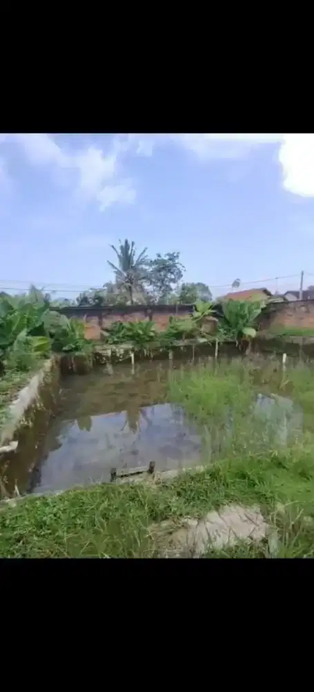 Dijual Tanah kolam ikan seluas 3000m2