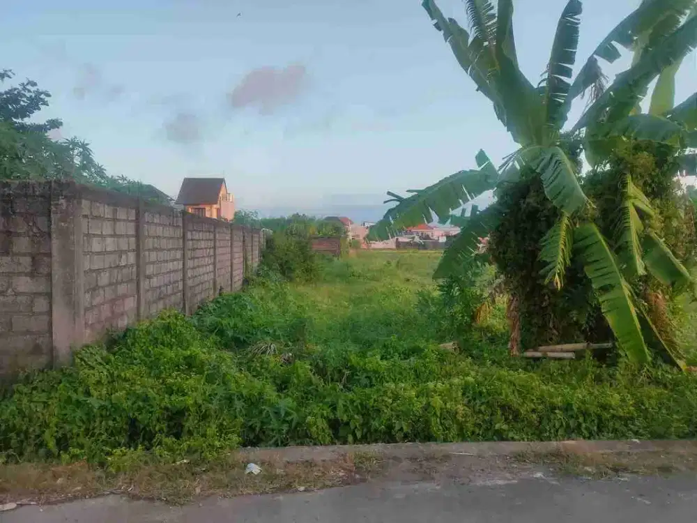 Tanah Murah Luas Kecil Di Tukad Badung Renon Dekat Sanur Sidakarya Kampus Primakara