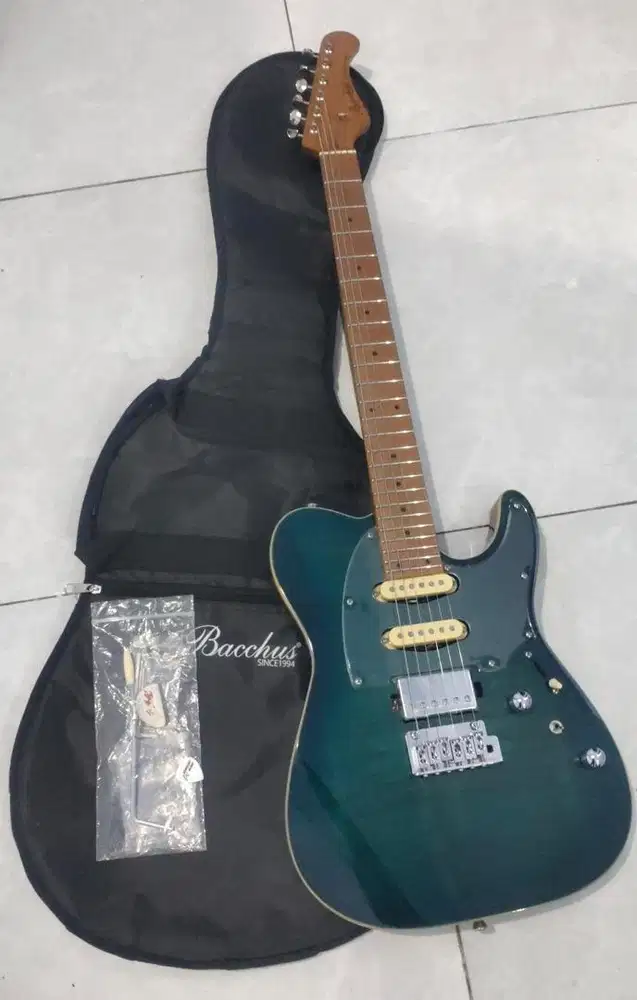 Gitar Bacchus Andre dinuth + upgrade